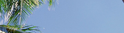 www.traveljungle.co.uk